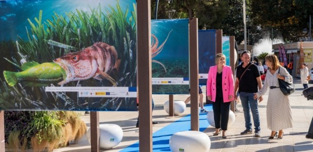 Una exposición inunda la Alameda de San Antón con la fauna de la costa de Cartagena