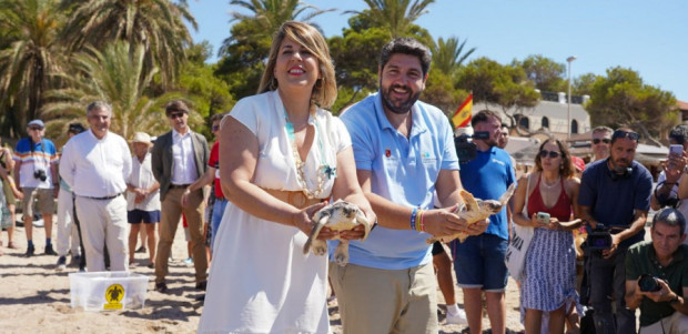 Liberan 30 tortugas bobas en Isla Plana y hallan rastros de este animal protegido en Cabo de Palos